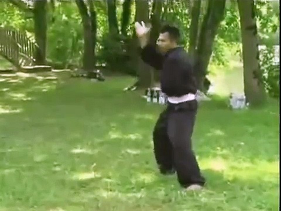 Pencak Silat Master Compilation 1