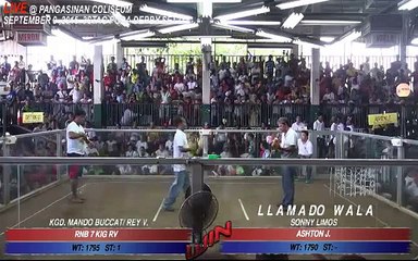 R.N.B 7 KIG R.V VS ASHTON J.