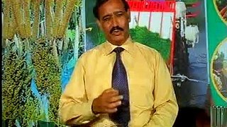 Bhaince (buffalo) say doodh ziada kaisay lein Sahiwal Pakistan Dr. Ashraf Sahibzada