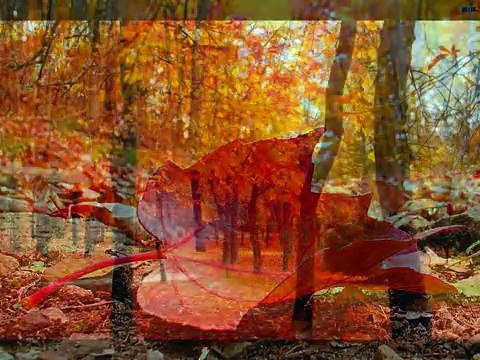 Música Clasica China II - Classic Chinese Music II