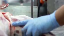 My job as a Meat Worker