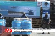 Asegura PGR siete toneladas más de precursores químicos en Manzanillo