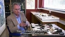 3-5 01 El genio de Charles Darwin-Richard Dawkins- La vida, Darwin y todas las cosas - subtitulado