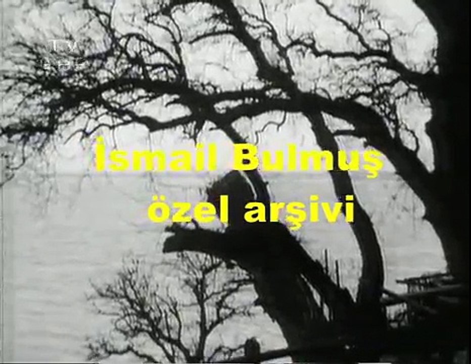 Münir Nurettin Selçuk / Sana dün bir tepeden baktım