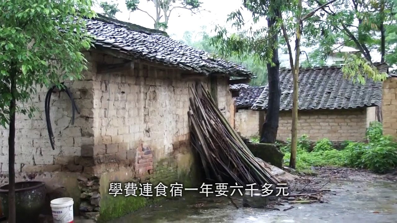 社聯惠施‧捐獻文化 WiseGiving - 慈善專戶服務