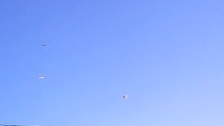 Seferli güvercin 2015, YAVRULAR ANTREMANDA, seferli kuş, tumbler pigeon, taklacı güvercin, Turkish pigeons