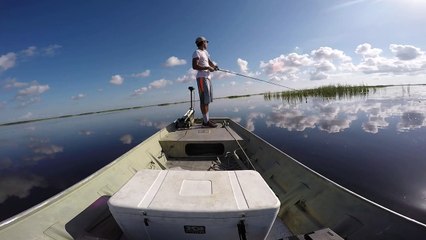 Bass fishing with frogs and poppers