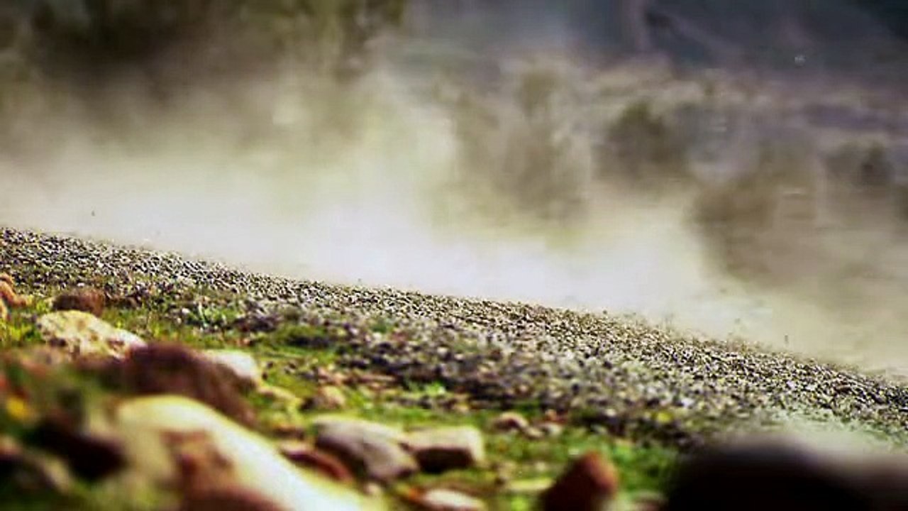 BMW F 800 GS ADVENTURER Motorcycles