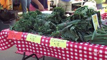 Ag Minute — Celebrating National Farmers' Market Week