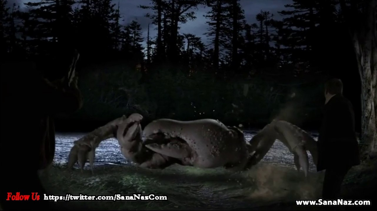 Queen Crab Official trailer