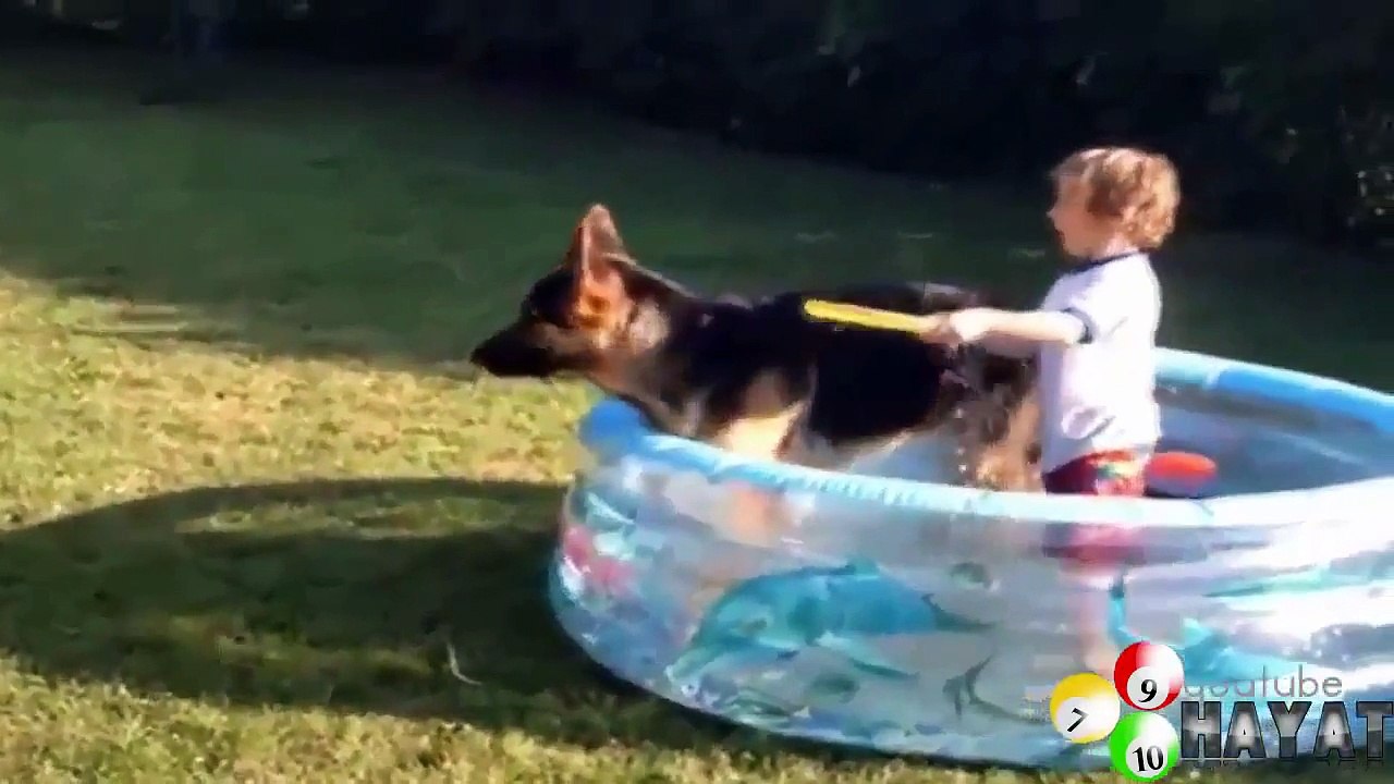 Funny babies and animals bathing together Cute baby & animal compilation