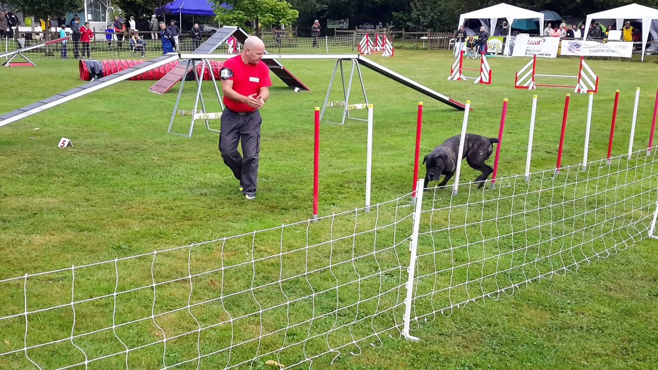 terves le 13/09/2015 2eme partie 1er degré gumball et stephane