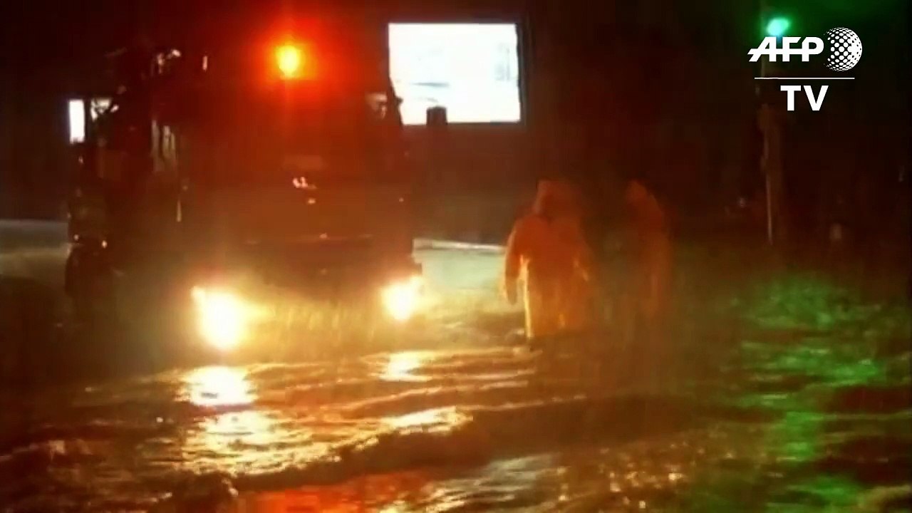 Zoo Tiflis nach Flutkatastrophe wieder geöffnet