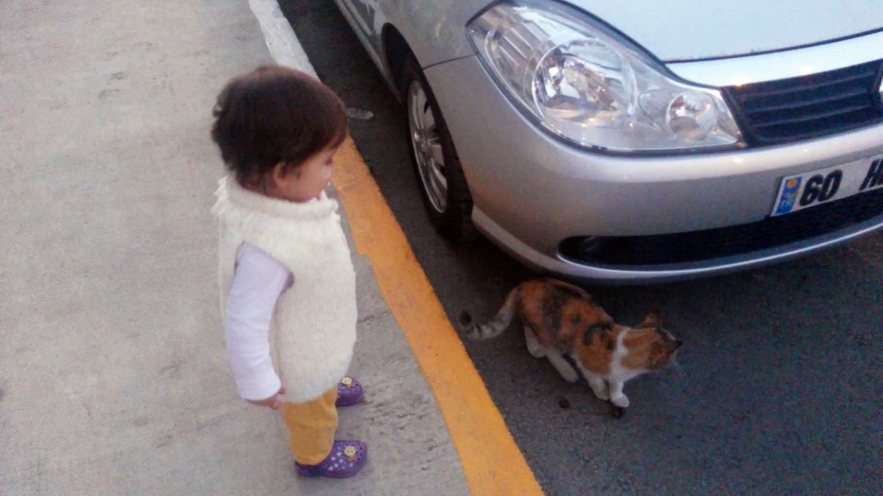 Zeynep Betül Kediyle Oynuyor 20150828