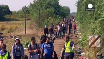رکورد ورود پناهجویان به مجارستان، انتقال مستقیم آنها به مرز اتریش