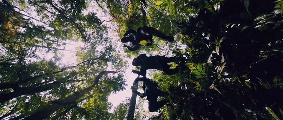 Puli Song Promo _ Vijay _ Devi Sri Prasad