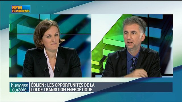 Éolien : les opportunités de la loi de transition énergétique