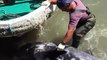 Un dauphin terrifié et épuisé demande de l'aide