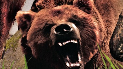 CGR Undertow - REMINGTON SUPER SLAM HUNTING: NORTH AMERICA review for Nintendo Wii