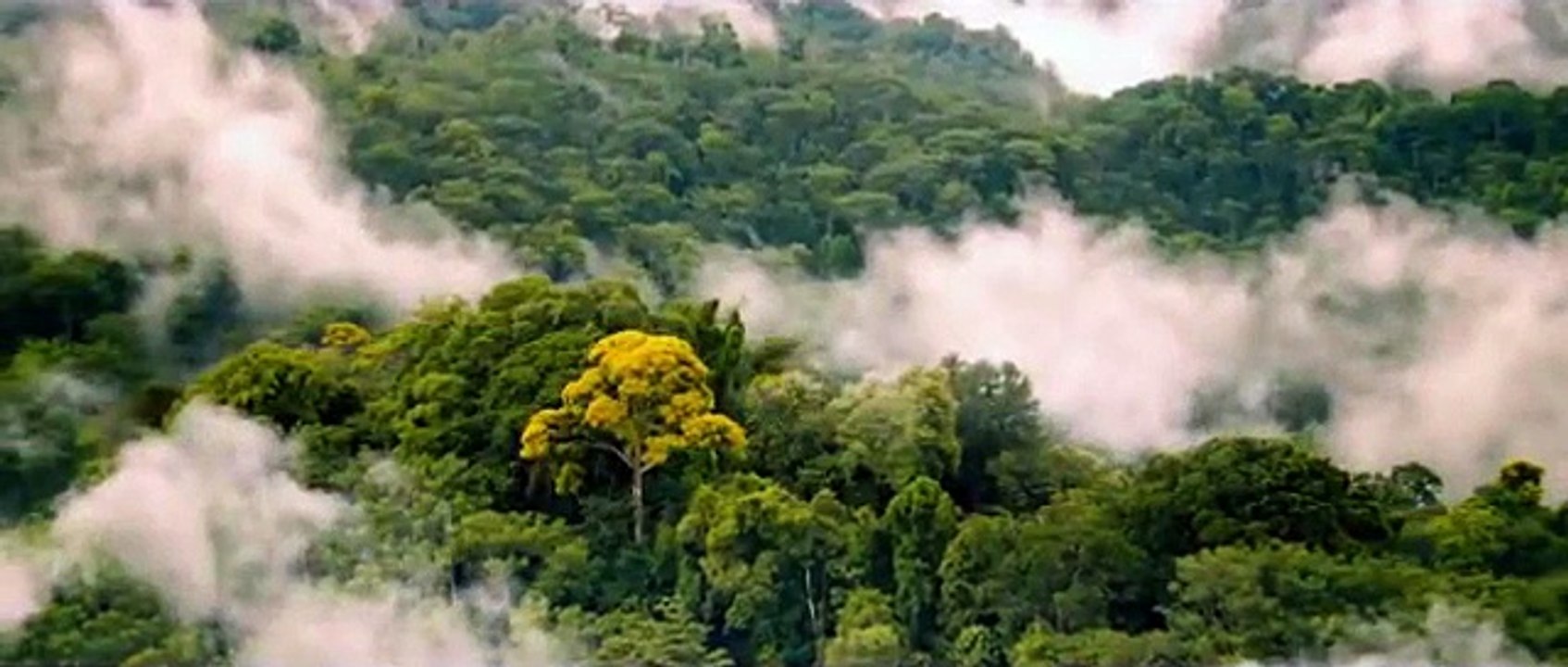 Paddington Official Trailer #1 (2014) - Nicole Kidman, Colin Firth Movie HD