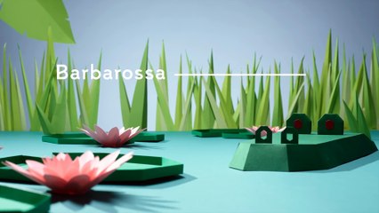 Coconut Music Festival 2015 - Teaser