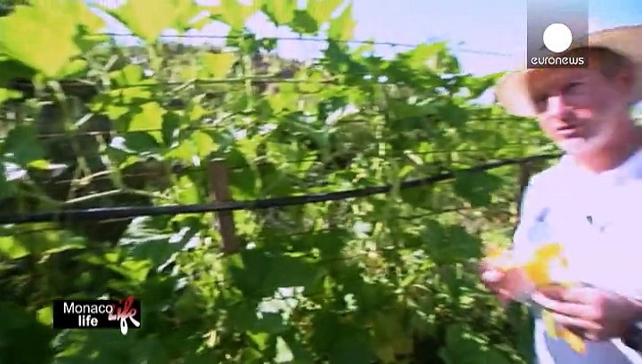 Kulinarische erlebnisse in monaco