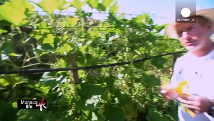 Перли для гурманів у Монте-Карло