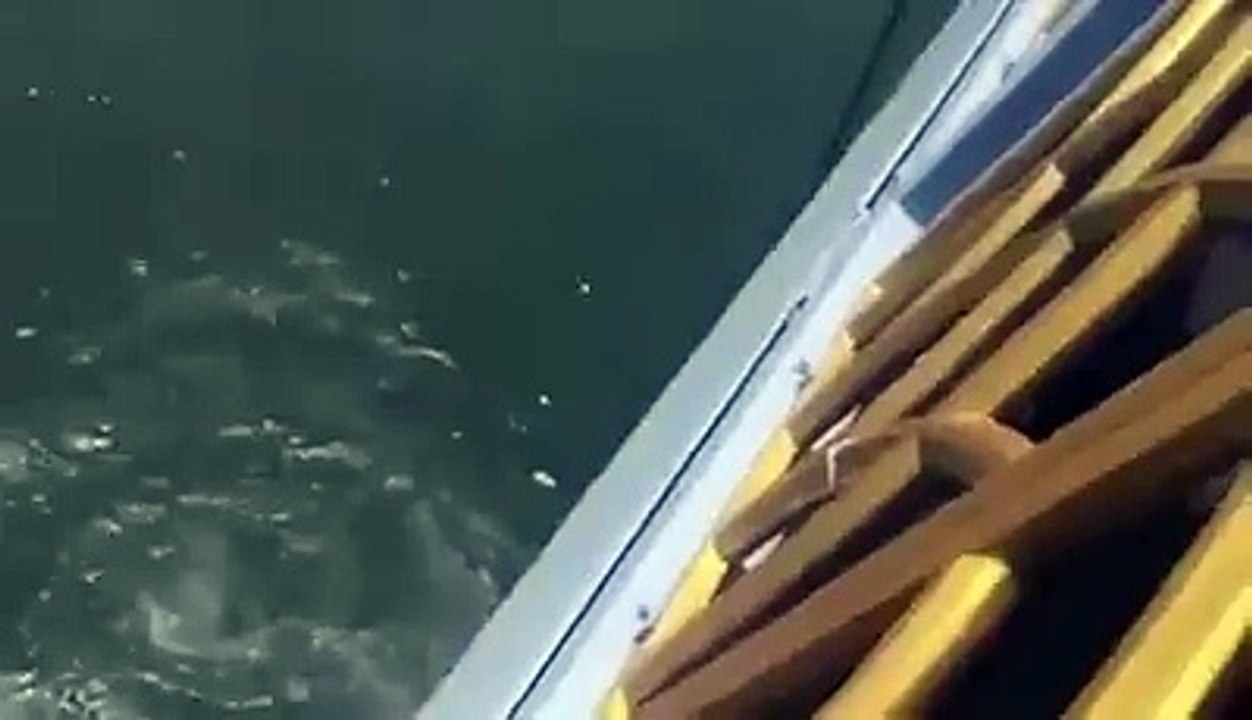 Saut à l’élastique mal calculé depuis un pont !