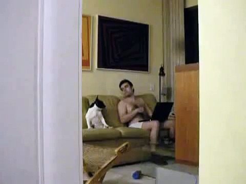 Cámara oculta captó a perro imitando a su dueño mientras baila hip hop