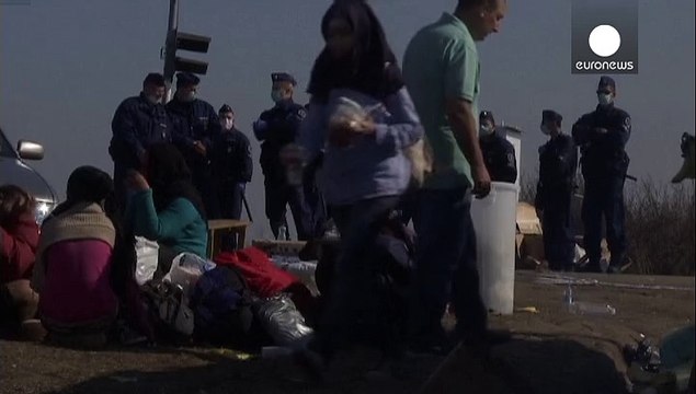 Життя під владою Ісламської держави : свідчення біженців