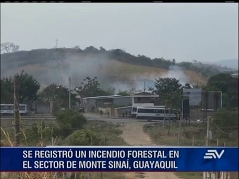 Guayaquil: Se resgistró un incendio forestal en Monte Sinaí