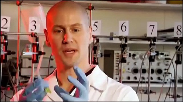 THE EVOLUTION OF VENOM NOVA EVOLUTION Discovery Animals Nature full documentary