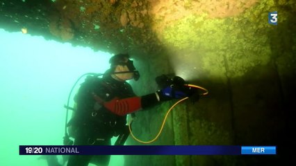 Paysages sous-marins : à la découverte des blockhaus