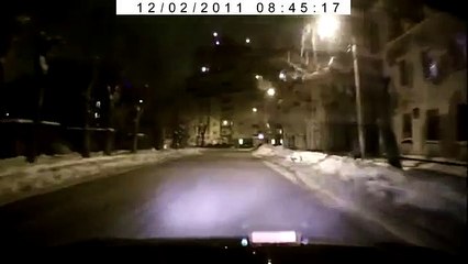 Правильный кот переходит дорогу только по переходу!