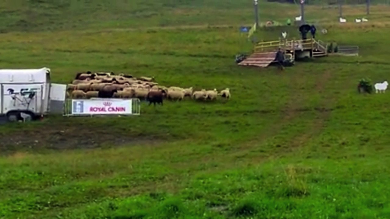 Floca de la Prahas Championnat 2015