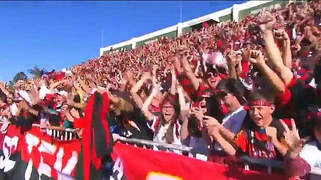 Chapecoense 1-3 Flamengo GOLS e MELHORES MOMENTOS 2015 Campeonato Brasileiro 2015