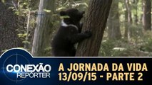 A Jornada da Vida - 13.09.15 - Parte 2