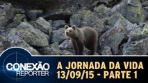 A Jornada da Vida - 13.09.15 - Parte 1