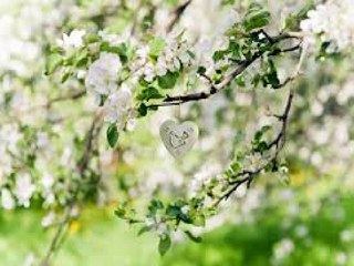 K-pop: Global Phenomenon 🎶