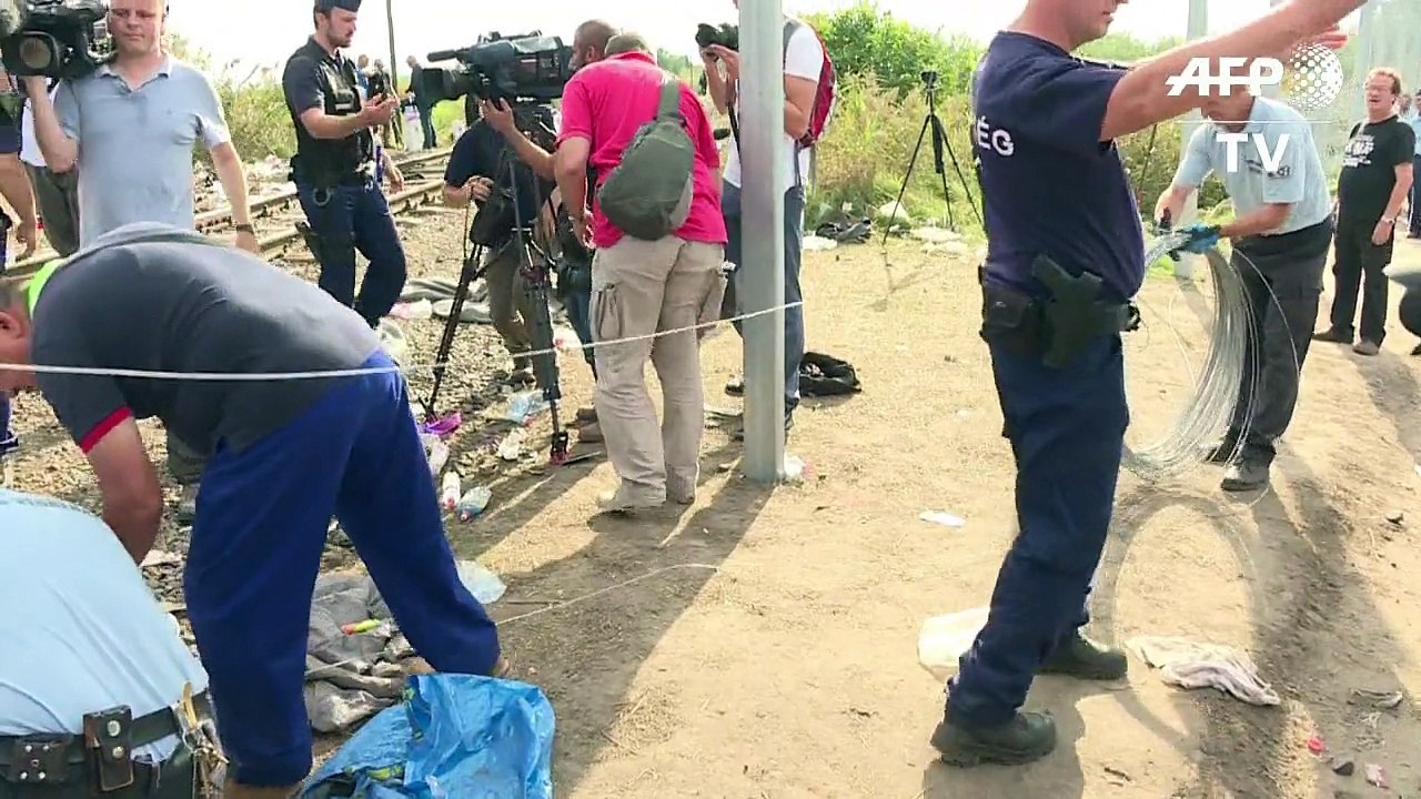 Ungarn schließt Lücke in Grenzzaun zu Serbien