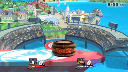 Super-Smash-Bros.-4:-hoo-ha-(Sonic-version)-