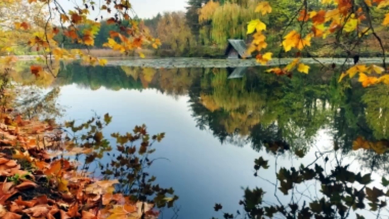 Versiculos biblicos para superar la depresion + MUSICA PARA ORAR