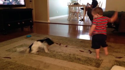 Dog and Baby BFFs Each Chase Their Tail