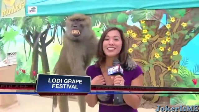 Funny videos : Funniest laughing bloopers ever