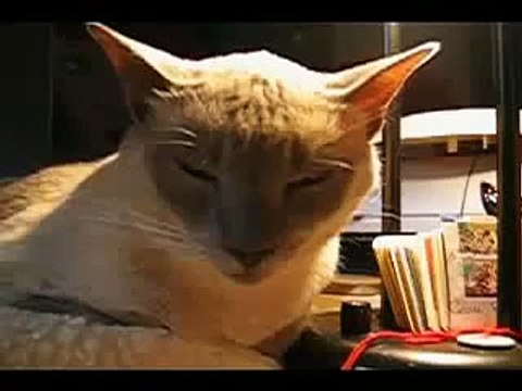 Всего 6 секунд, а ржать будете минут 5!