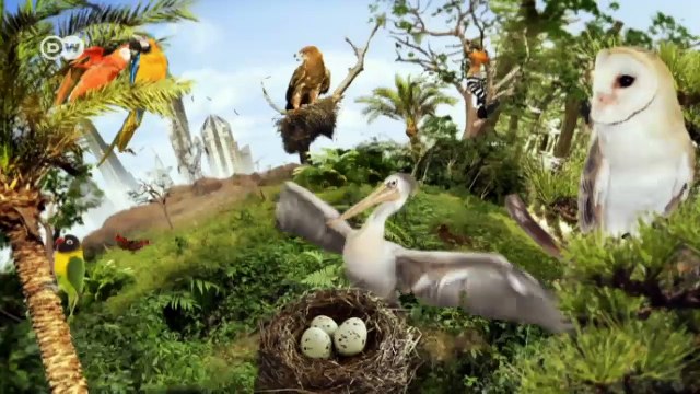 Gefahr für die fliegende Müllabfuhr | Global 3000