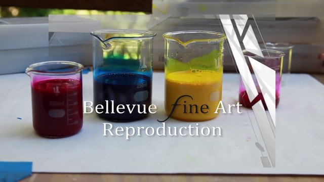 Wasted Ink in the Epson 9900