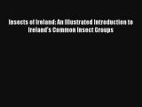 Read Insects of Ireland: An Illustrated Introduction to Ireland's Common Insect Groups Book