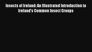 Read Insects of Ireland: An Illustrated Introduction to Ireland's Common Insect Groups Book
