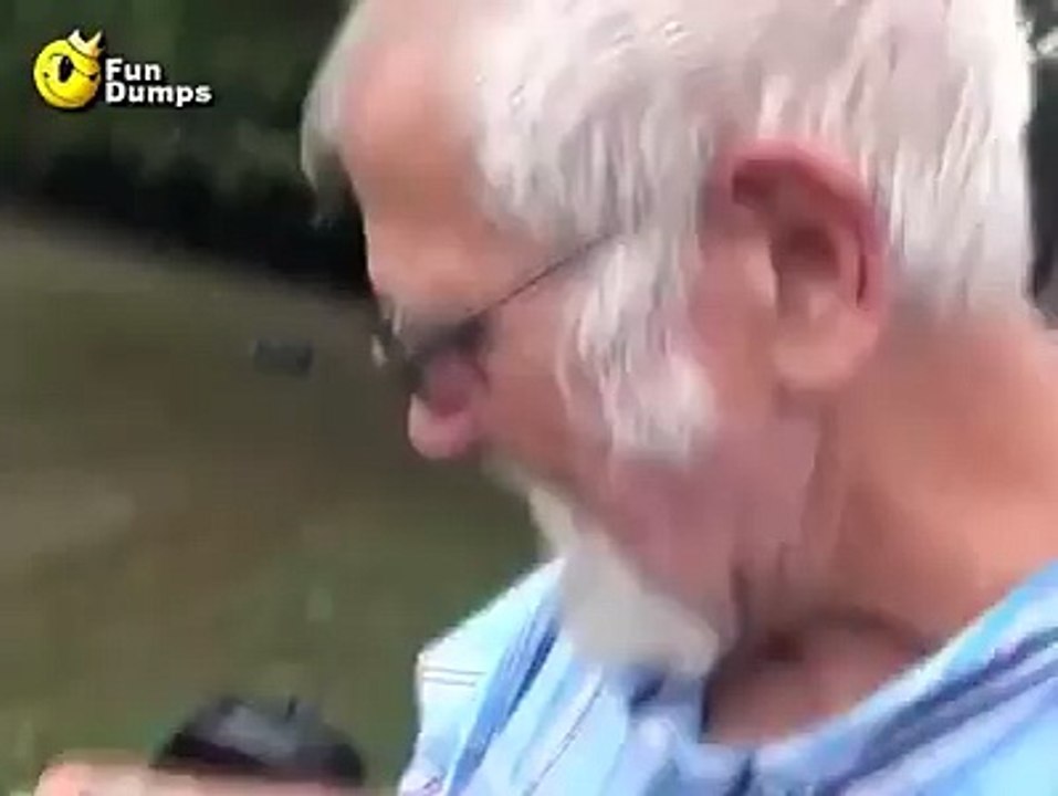 funny videos